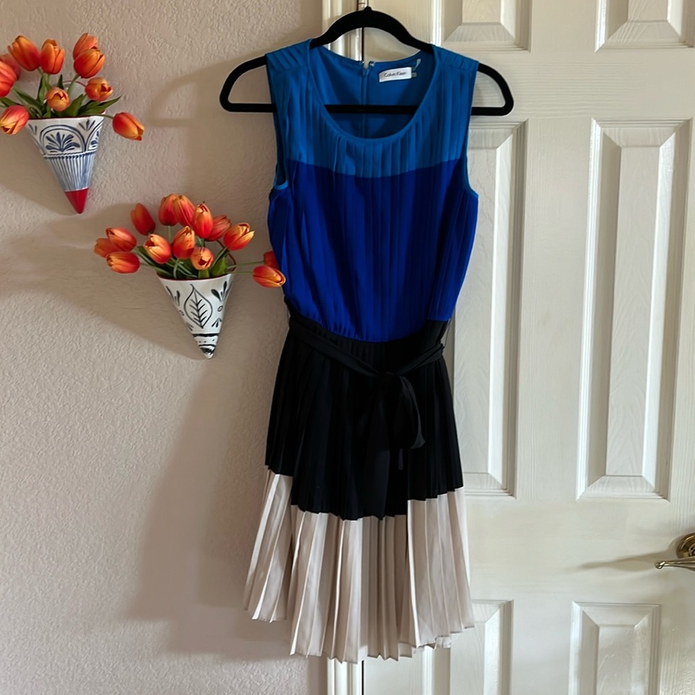 Calvin Klein pleated dress